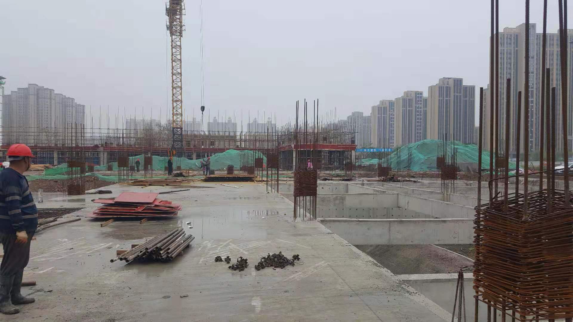 香港奖现场直播结果
